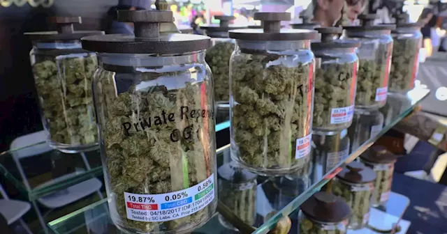 Tax cut for California pot industry: Too little, too late?