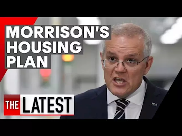 What will the Coalition's super scheme do to the housing market? | 7NEWS