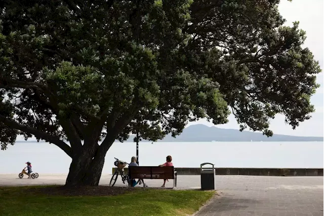 Business Maverick: New Zealand records its weakest population growth in 30 years