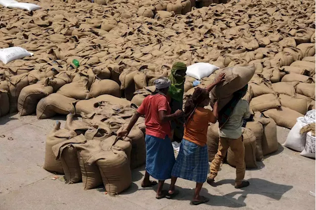 Business Maverick: Wheat soars in risk to food inflation as India restricts exports