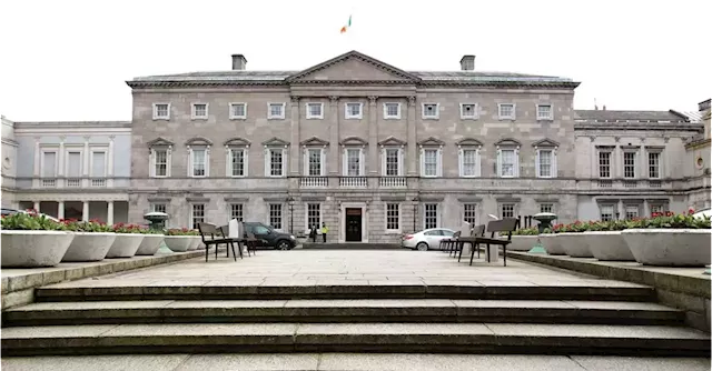 Ex-politicians who behave inappropriately face Leinster House ban | Business Post