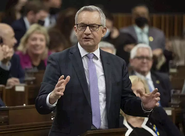 Tory finance critic says Poilievre’s bid to fire Macklem hurts party’s economic cred | National Newswatch