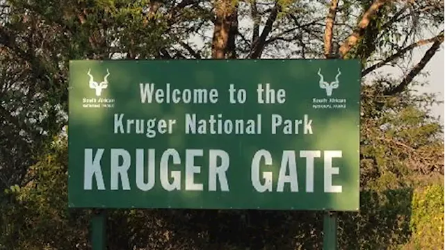 Kruger National Park drives biodiversity initiative with Ndindani community - SABC News - Breaking news, special reports, world, business, sport coverage of all South African current events. Africa's news leader.