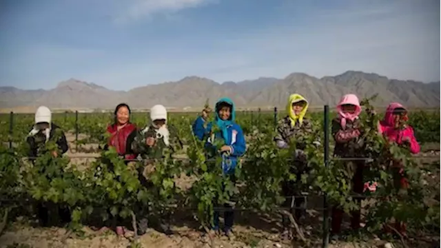 China’s changing wine industry