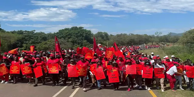 EFF supporters in NMB protest at Shoprite over alleged exploitation of workers - SABC News - Breaking news, special reports, world, business, sport coverage of all South African current events. Africa's news leader.