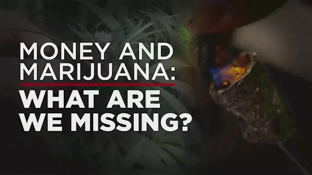 Is Texas missing out? A deep dive into Oklahoma's booming marijuana market