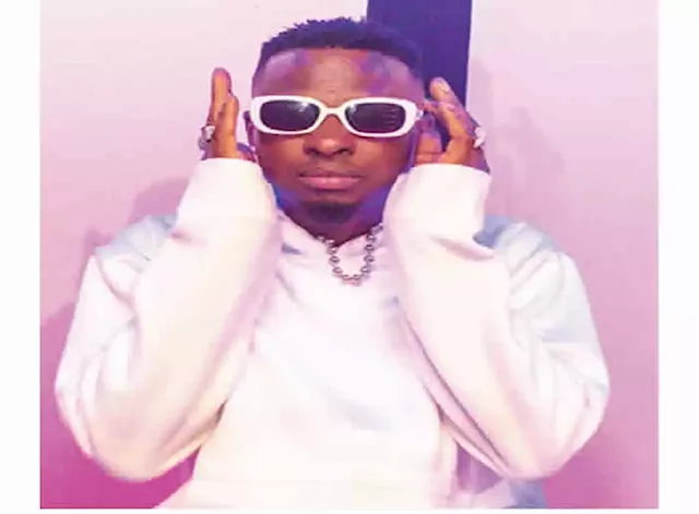 Investment in music huge, risky — Afro-pop singer