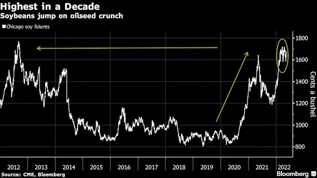 Business Maverick: China’s Covid Zero policy is an anchor on commodities prices