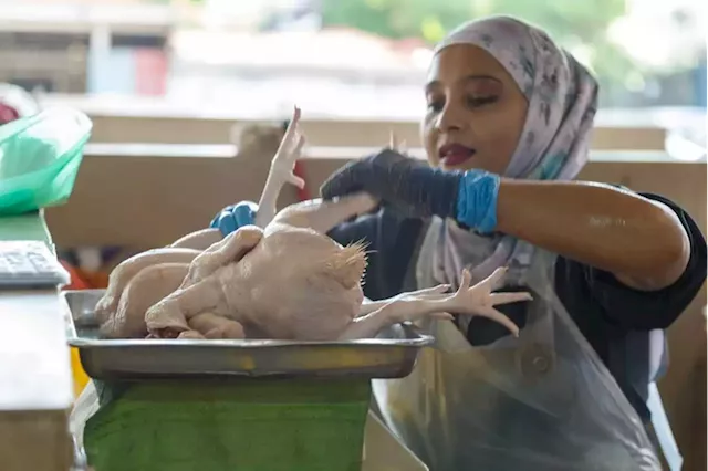 PJ market traders and customers fear no end in sight for soaring chicken prices due to suppliers’ ‘boycott’