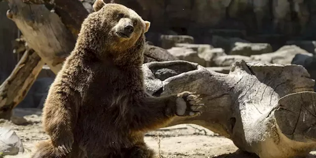 Stay bearish on stocks — and watch the trend rather than trying to pick the market bottom