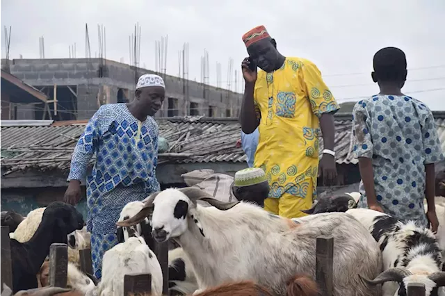 FG imposes tax on phone calls to finance healthcare fund | TheCable