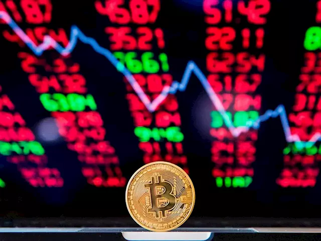 David Rosenberg: The crypto market is neither safe nor a haven — and now it's hurting equities