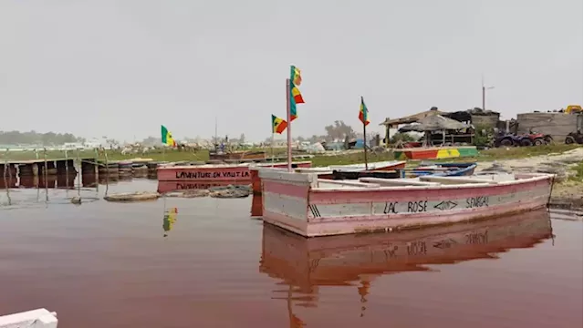 Lake Retba in Senegal struggling to draw international tourists amidst coronavirus pandemic - SABC News - Breaking news, special reports, world, business, sport coverage of all South African current events. Africa's news leader.