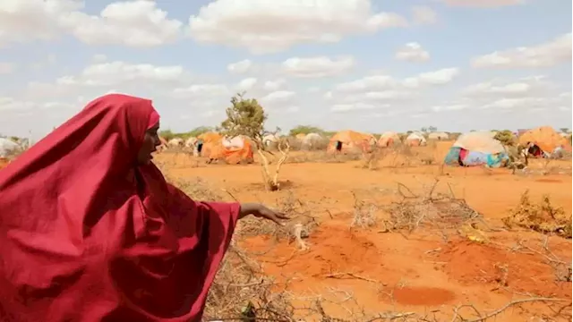 As hunger spreads in Somalia, babies start to die - SABC News - Breaking news, special reports, world, business, sport coverage of all South African current events. Africa's news leader.