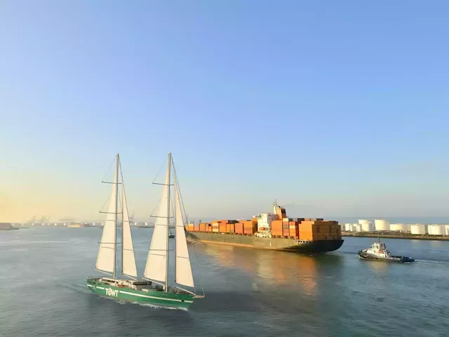 TAKE A LOOK | The 'cargo sailboats' companies are using in place of massive container ships | Businessinsider