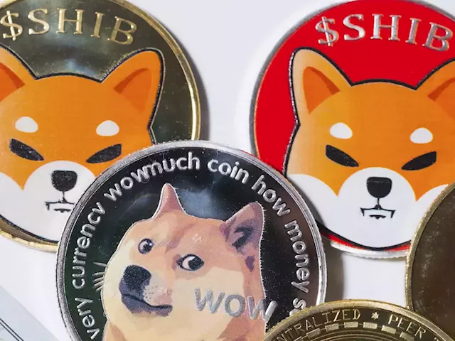 Shiba Inu, Other Cryptos Now Accepted by Luxury Yacht Company Camper & Nicholsons via BitPay