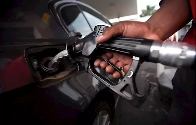 Petrol industry association warns of steep fuel hikes unless government extends levy reprieve