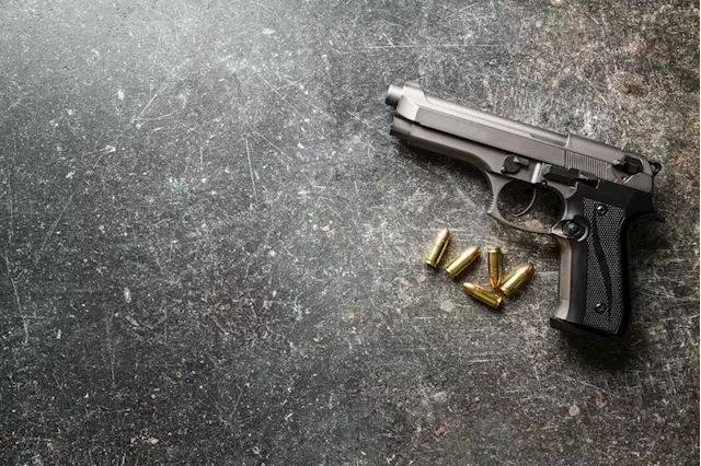 Security company mum on guns after licences expired | The Citizen