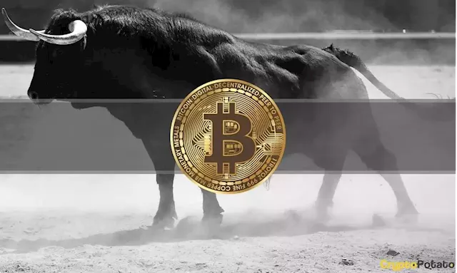 Bullish Hopes as Bitcoin Spikes to a 3-Week High (Market Watch)