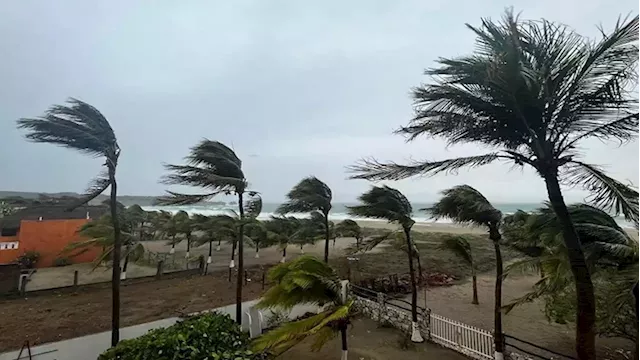 Mexico scrambles to clear debris as storm Agatha weakens along southern coast - SABC News - Breaking news, special reports, world, business, sport coverage of all South African current events. Africa's news leader.