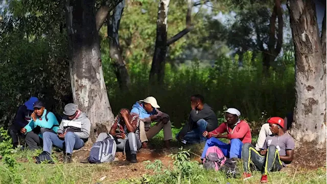 Statistician-General blames legislation for 15-year-olds being included in Labour Force Survey - SABC News - Breaking news, special reports, world, business, sport coverage of all South African current events. Africa's news leader.