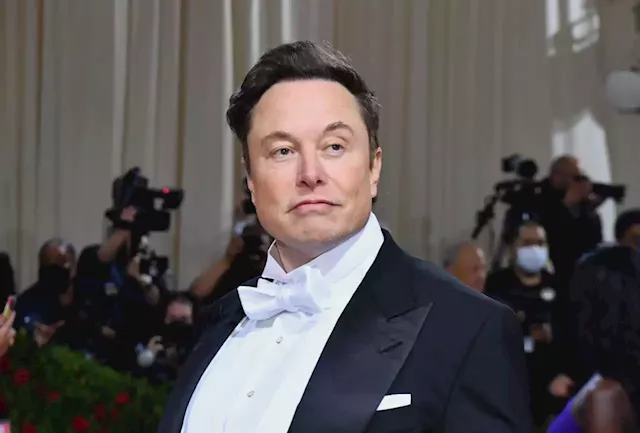 How Elon Musk's Twitter Takeover Explains Why the Art Market Will Always Cater to a Handful of Elites (and Other Insights) | Artnet News