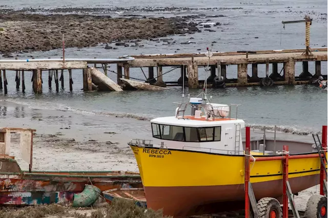 GROUNDUP OP-ED: Abalone and rock lobster stocks are under severe threat — here’s how to preserve them