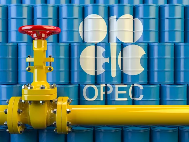 War: Ukraine, Russia conflict causing huge volatility in energy market - OPEC