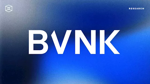 BVNK Company Intelligence