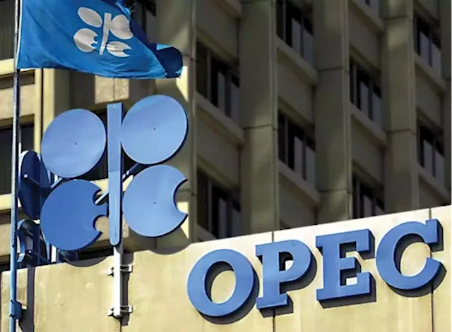 OPEC: Russia-Ukraine war causing volatility in global energy market | TheCable