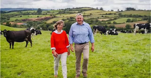 Making It Work: Turnover at Glenilen Farm likely to hit €10m | Business Post