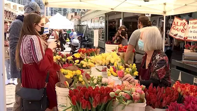 Over 40 vendors participating in 14th Annual Flower Festival at Pike Place Market