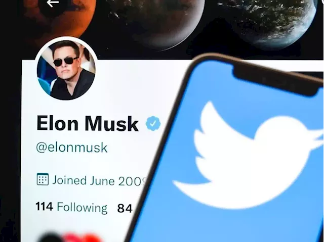 Here's what Twitter could do to grow the company if advertisers end up fleeing the site after selling to Elon Musk, according to experts