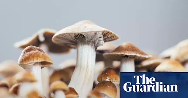 ‘We spark curiosity’: how the psychedelics industry is taking on Davos