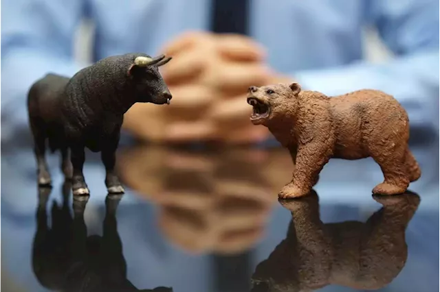 Your bear market survival guide