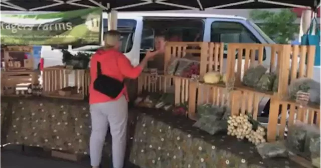 Gearing up for summer at Peterborough Downtown Farmers’ Market - Peterborough | Globalnews.ca