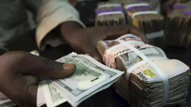 Politicians crowd out private businesses from FX market | The Guardian Nigeria News - Nigeria and World News