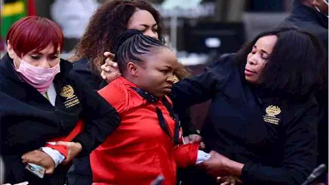 EFF opens case of assault against National Assembly Speaker - SABC News - Breaking news, special reports, world, business, sport coverage of all South African current events. Africa's news leader.