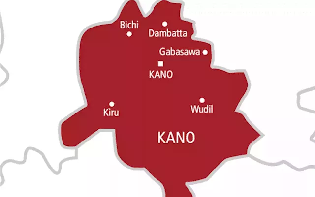 200-shop farmers’ market launched in Kano