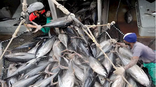 WTO members hopeful on major fish deal despite exemption push - SABC News - Breaking news, special reports, world, business, sport coverage of all South African current events. Africa's news leader.