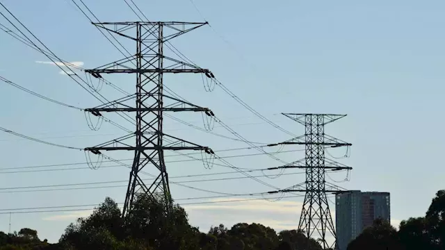 'Impossible to operate': Electricity market suspended as energy crisis escalates