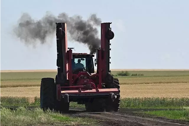 Ukraine's farm industry has lost $6 billion from war damage