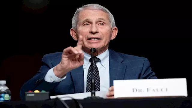 Fauci, face of US battle against COVID-19, tests positive - SABC News - Breaking news, special reports, world, business, sport coverage of all South African current events. Africa's news leader.