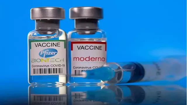 US FDA advisers back COVID vaccines for children as young as 6 months - SABC News - Breaking news, special reports, world, business, sport coverage of all South African current events. Africa's news leader.