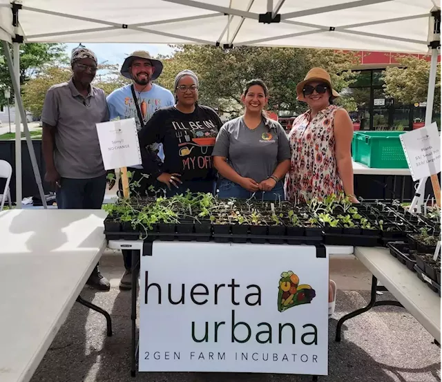 Pay-What-You-Can Farmers' Market Provides Local Produce Access in a Food Desert