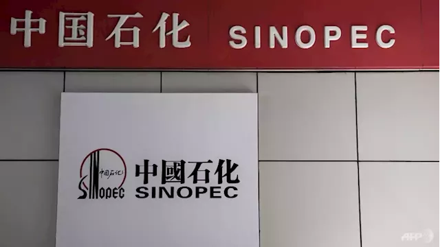 Fire at Sinopec Shanghai Petrochemical plant under control: Company