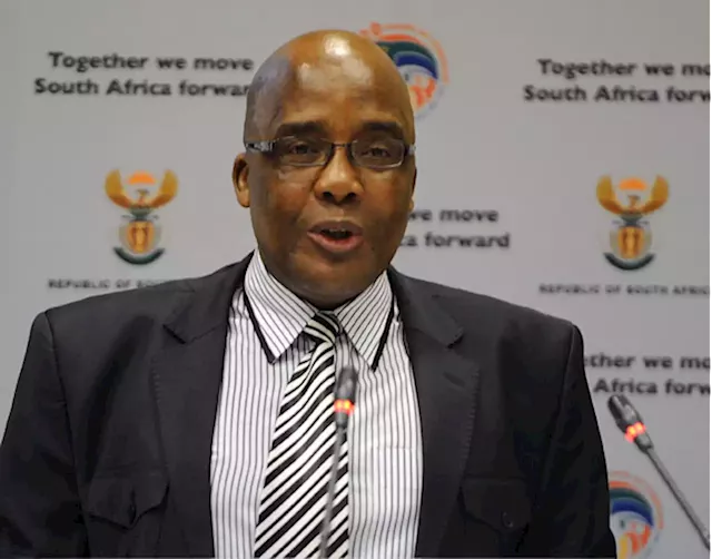 Home Affairs to introduce improved measures to curb illegal immigrants from entering SA - SABC News - Breaking news, special reports, world, business, sport coverage of all South African current events. Africa's news leader.