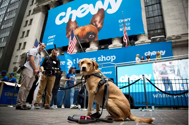 Stocks Making the Biggest Moves After Hours: Chewy, MongoDB, Hewlett Packard Enterprise and More