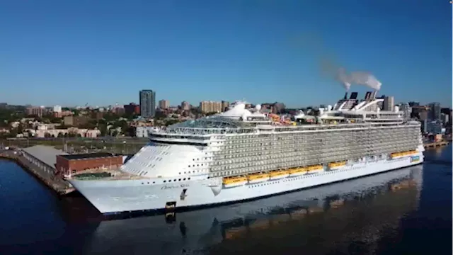 Cruise ships bring lots of business to Halifax — along with pollution from dirty fuel, critics say | CBC News