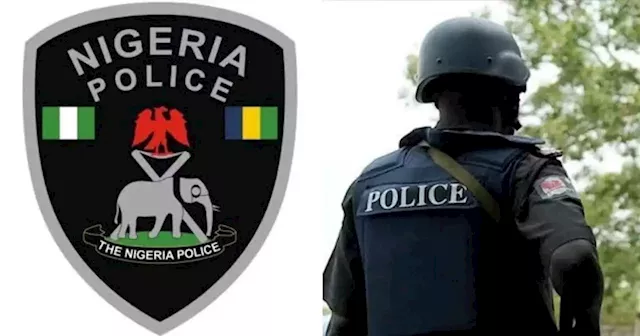 Police give update on ‘bomb explosion’ in Imo market